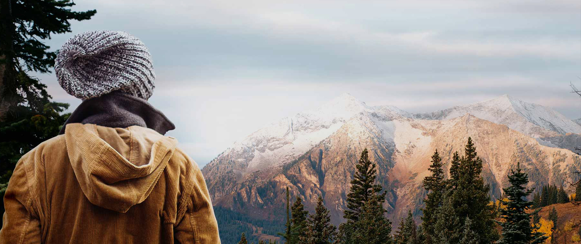 Where Your Journey<span>Start !!!</span>