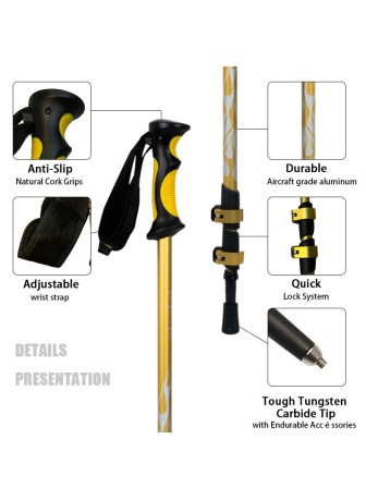 Portable Modern Hiking Poles